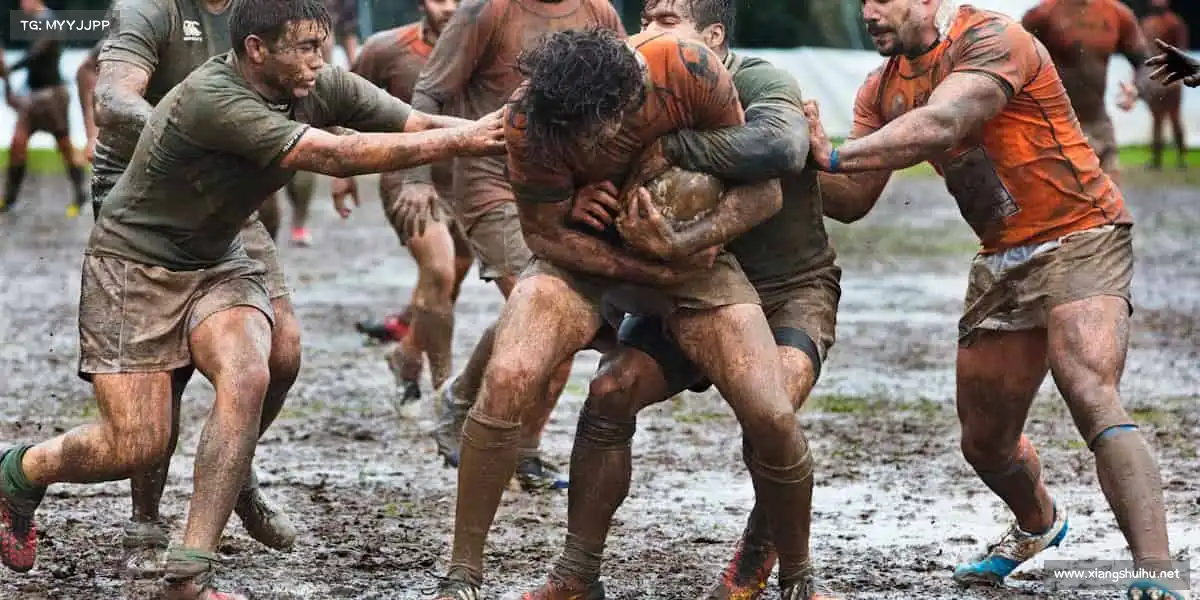 <strong>校花被❌出奶入口</strong>深耕影视行业多年，以专业实力打造口碑佳作👍